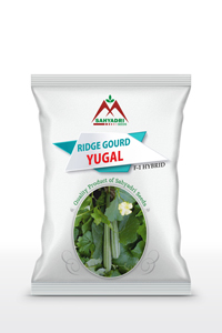 Ridge Gourd Yuga